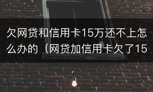 欠网贷和信用卡15万还不上怎么办的（网贷加信用卡欠了15万）