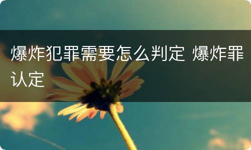 爆炸犯罪需要怎么判定 爆炸罪认定