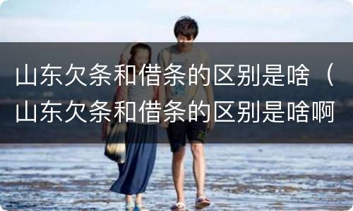 山东欠条和借条的区别是啥（山东欠条和借条的区别是啥啊）