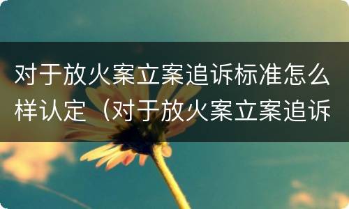 对于放火案立案追诉标准怎么样认定（对于放火案立案追诉标准怎么样认定是否合法）
