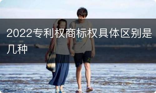 2022专利权商标权具体区别是几种