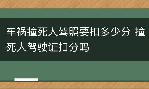 车祸撞死人驾照要扣多少分 撞死人驾驶证扣分吗