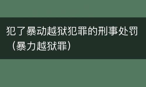 犯了暴动越狱犯罪的刑事处罚（暴力越狱罪）