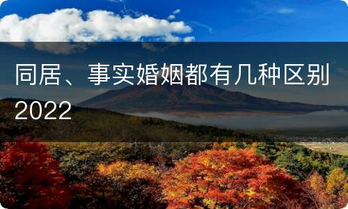 同居、事实婚姻都有几种区别2022