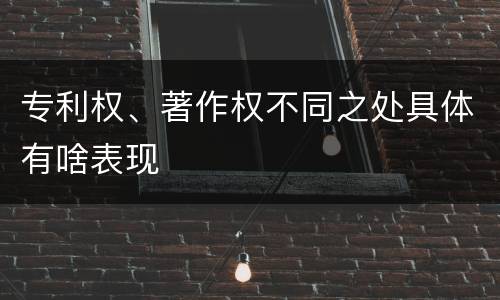 专利权、著作权不同之处具体有啥表现
