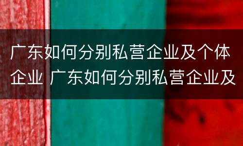 广东如何分别私营企业及个体企业 广东如何分别私营企业及个体企业呢