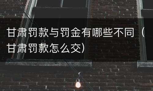 甘肃罚款与罚金有哪些不同（甘肃罚款怎么交）