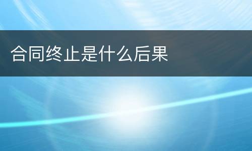 合同终止是什么后果