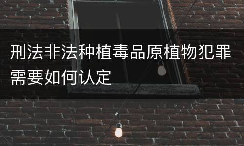 刑法非法种植毒品原植物犯罪需要如何认定