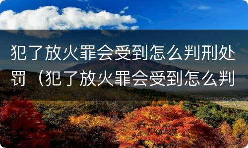 犯了放火罪会受到怎么判刑处罚（犯了放火罪会受到怎么判刑处罚吗）