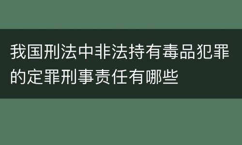 我国刑法中非法持有毒品犯罪的定罪刑事责任有哪些