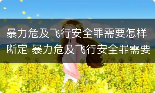 暴力危及飞行安全罪需要怎样断定 暴力危及飞行安全罪需要怎样断定罪名