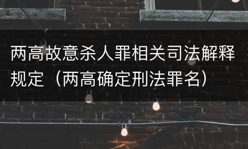 两高故意杀人罪相关司法解释规定（两高确定刑法罪名）