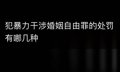 犯暴力干涉婚姻自由罪的处罚有哪几种