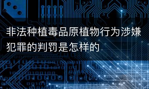 非法种植毒品原植物行为涉嫌犯罪的判罚是怎样的