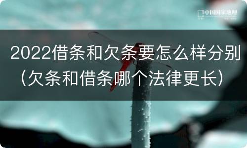 2022借条和欠条要怎么样分别（欠条和借条哪个法律更长）