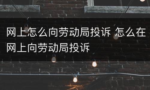 网上怎么向劳动局投诉 怎么在网上向劳动局投诉