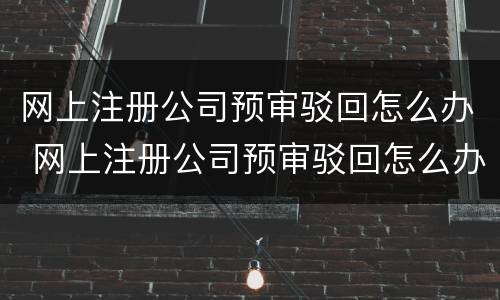 网上注册公司预审驳回怎么办 网上注册公司预审驳回怎么办啊