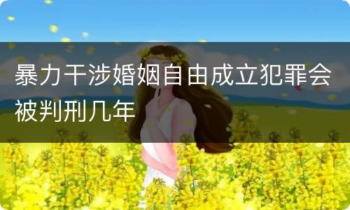 暴力干涉婚姻自由成立犯罪会被判刑几年