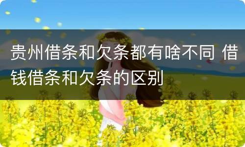 贵州借条和欠条都有啥不同 借钱借条和欠条的区别