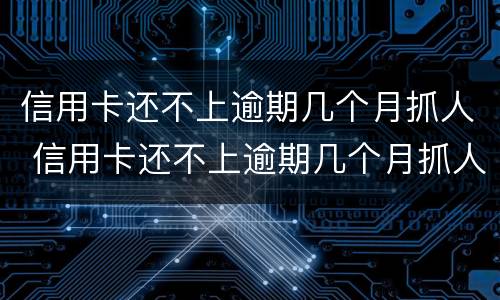 信用卡还不上逾期几个月抓人 信用卡还不上逾期几个月抓人怎么办