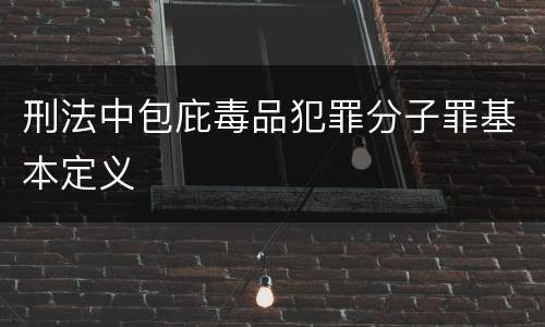 刑法中包庇毒品犯罪分子罪基本定义