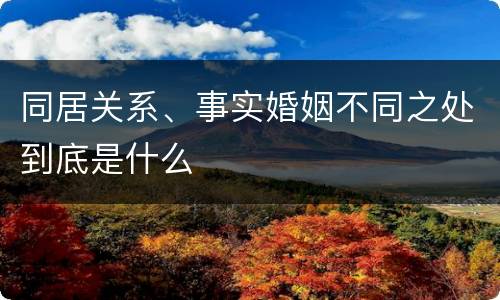 同居关系、事实婚姻不同之处到底是什么