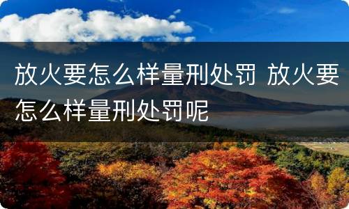 放火要怎么样量刑处罚 放火要怎么样量刑处罚呢