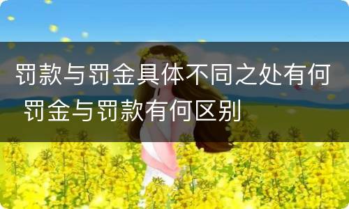 罚款与罚金具体不同之处有何 罚金与罚款有何区别