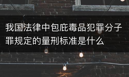 我国法律中包庇毒品犯罪分子罪规定的量刑标准是什么