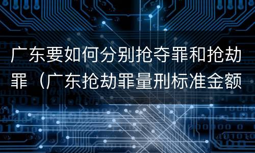 广东要如何分别抢夺罪和抢劫罪（广东抢劫罪量刑标准金额）
