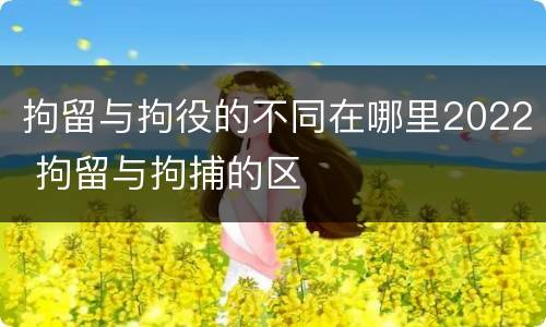 拘留与拘役的不同在哪里2022 拘留与拘捕的区