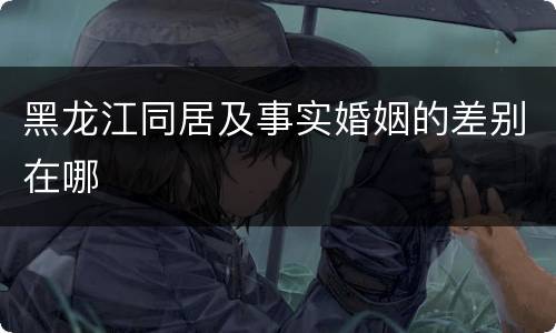 黑龙江同居及事实婚姻的差别在哪