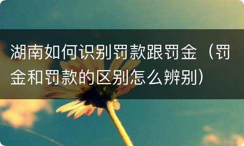 湖南如何识别罚款跟罚金（罚金和罚款的区别怎么辨别）