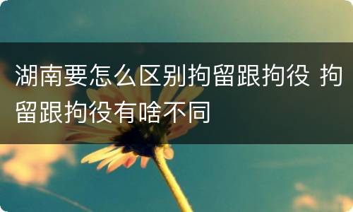 湖南要怎么区别拘留跟拘役 拘留跟拘役有啥不同