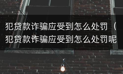 犯贷款诈骗应受到怎么处罚（犯贷款诈骗应受到怎么处罚呢）