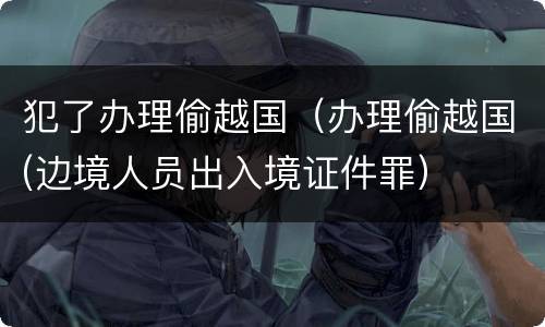 犯了办理偷越国（办理偷越国(边境人员出入境证件罪）