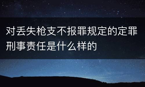 对丢失枪支不报罪规定的定罪刑事责任是什么样的