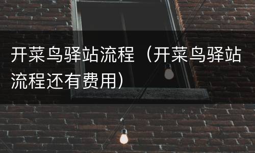 开菜鸟驿站流程（开菜鸟驿站流程还有费用）