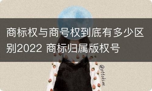 商标权与商号权到底有多少区别2022 商标归属版权号