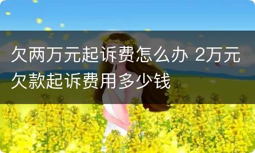 欠两万元起诉费怎么办 2万元欠款起诉费用多少钱