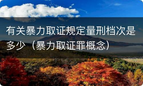 有关暴力取证规定量刑档次是多少（暴力取证罪概念）
