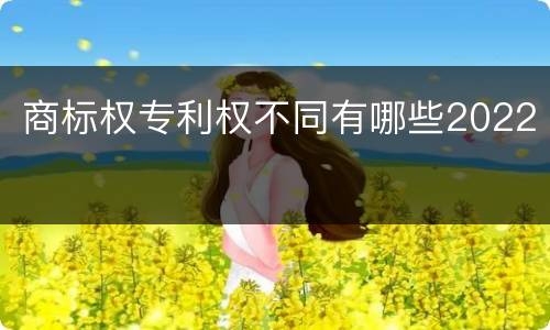商标权专利权不同有哪些2022