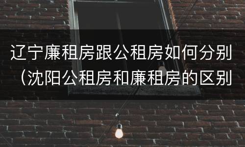 辽宁廉租房跟公租房如何分别（沈阳公租房和廉租房的区别）