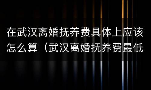 在武汉离婚抚养费具体上应该怎么算（武汉离婚抚养费最低标准）