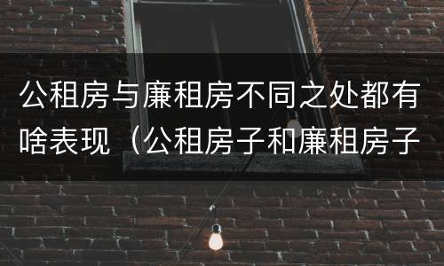 公租房与廉租房不同之处都有啥表现（公租房子和廉租房子的区别）