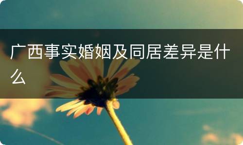 广西事实婚姻及同居差异是什么