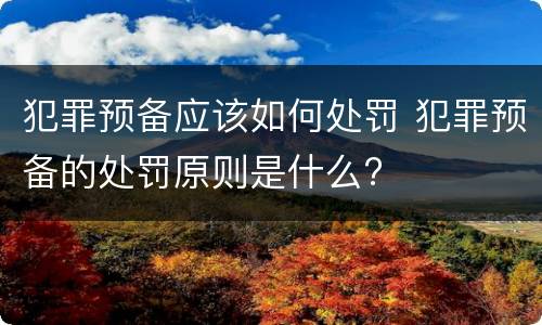 犯罪预备应该如何处罚 犯罪预备的处罚原则是什么?