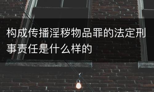 构成传播淫秽物品罪的法定刑事责任是什么样的