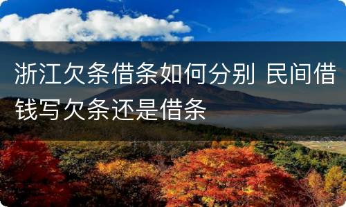 浙江欠条借条如何分别 民间借钱写欠条还是借条